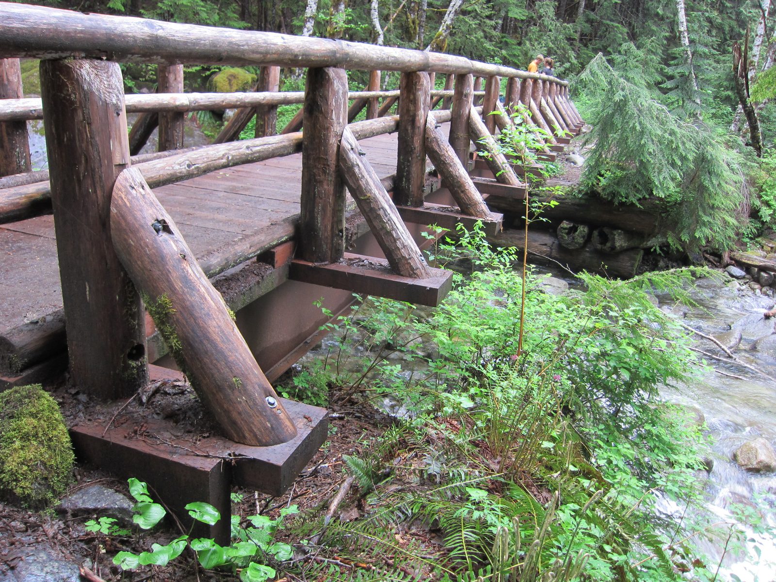 See -- fake wooden bridge.  Steel support beams (though the abutments are made of huge logs).