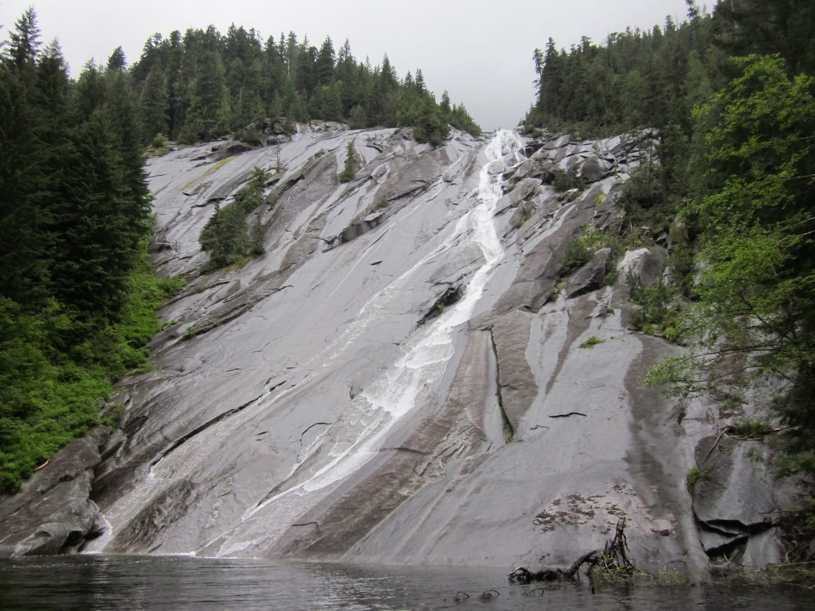 I can just imagine otters slip-sliding down this.  Assuming they manage to climb up it in the...