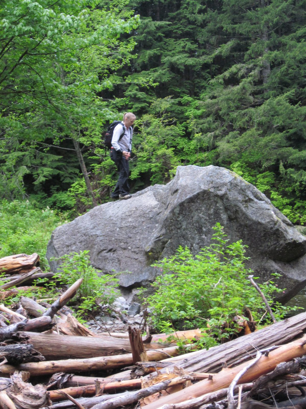 Hey look, there's a big rock; guess who tried to go climb it.