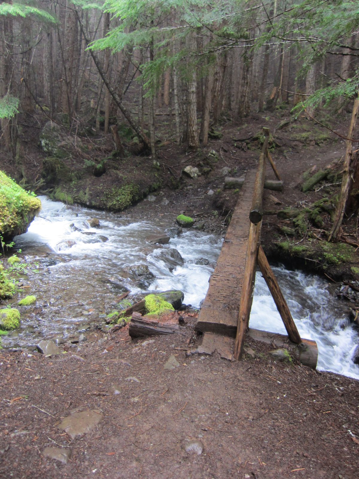 Things started out okay.  While it was a bit wet and cold, there was a bridge!