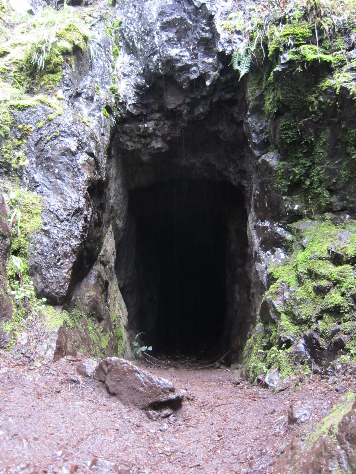 A mine!  The trail writeup [ http://www.wta.org/go-hiking/hikes/buckhorn-lake ] definitely...