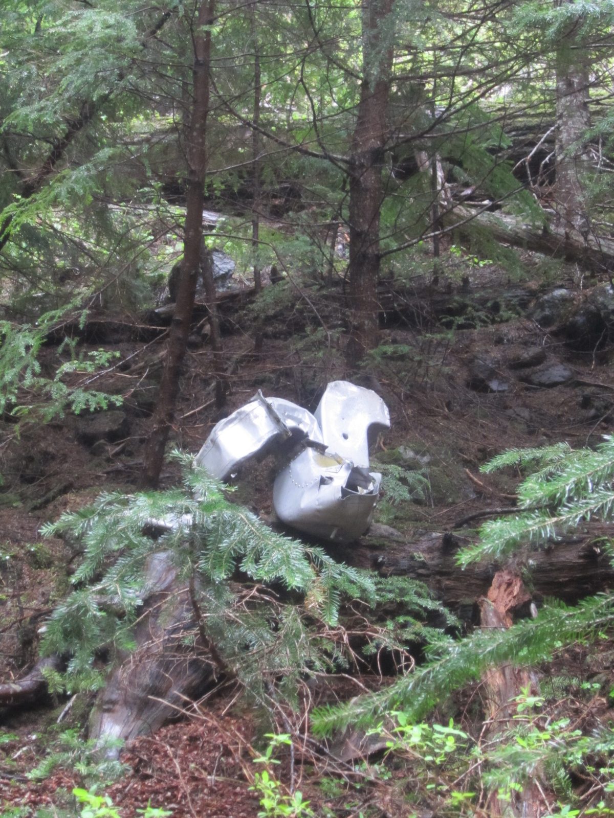 The hike had two things we were looking to see: an old mine, and a crashed war plane.  Mine:...