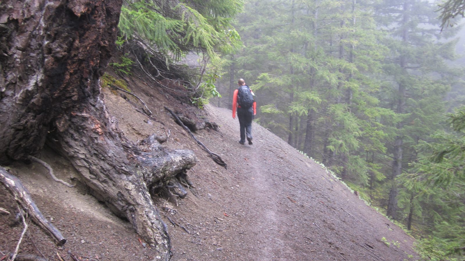Eventually, we shed layers because the trail was fairly steep.