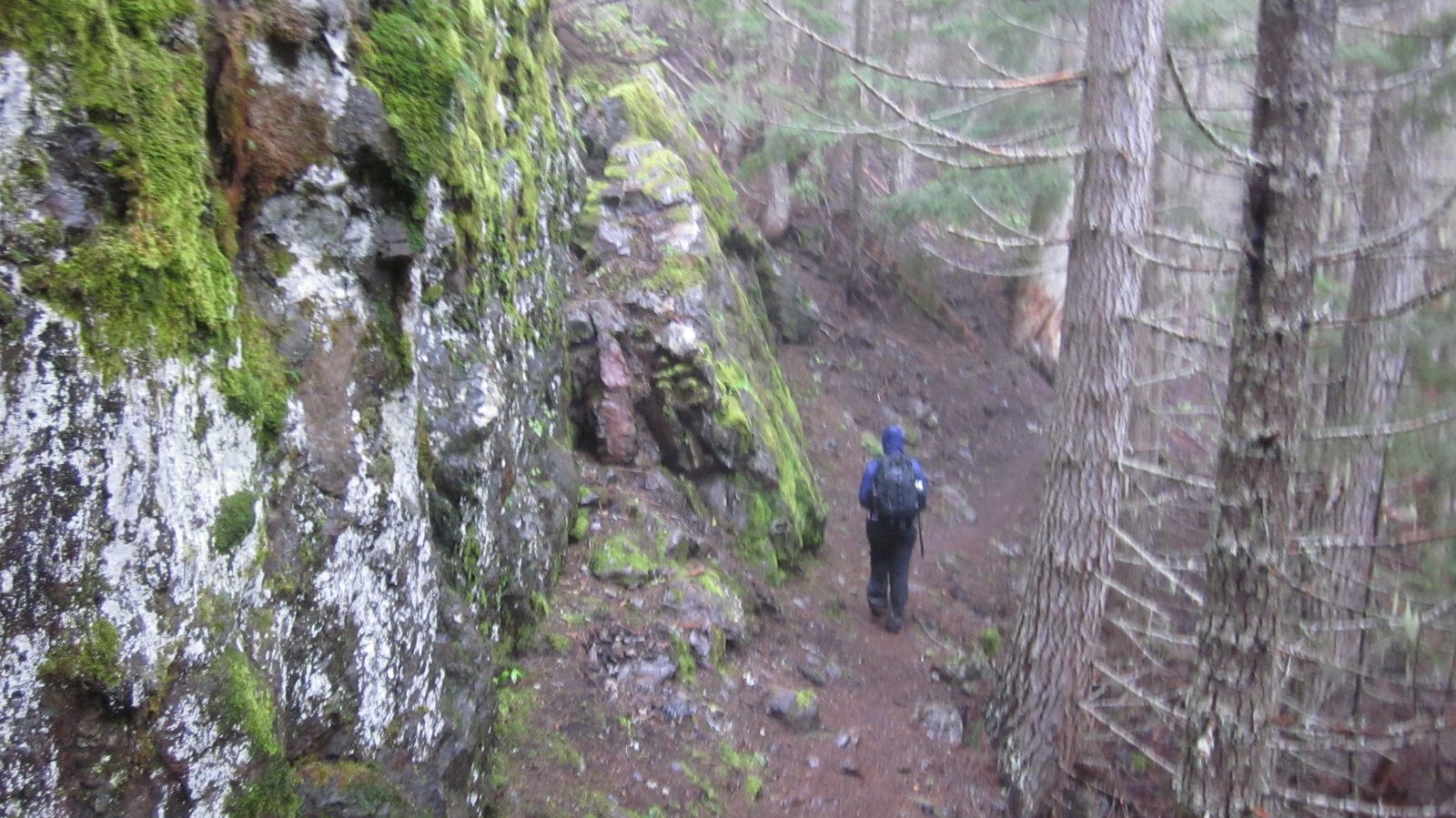 Diana got one, though: heading downhill as fast as my legs would take me.  I think my post-hike...