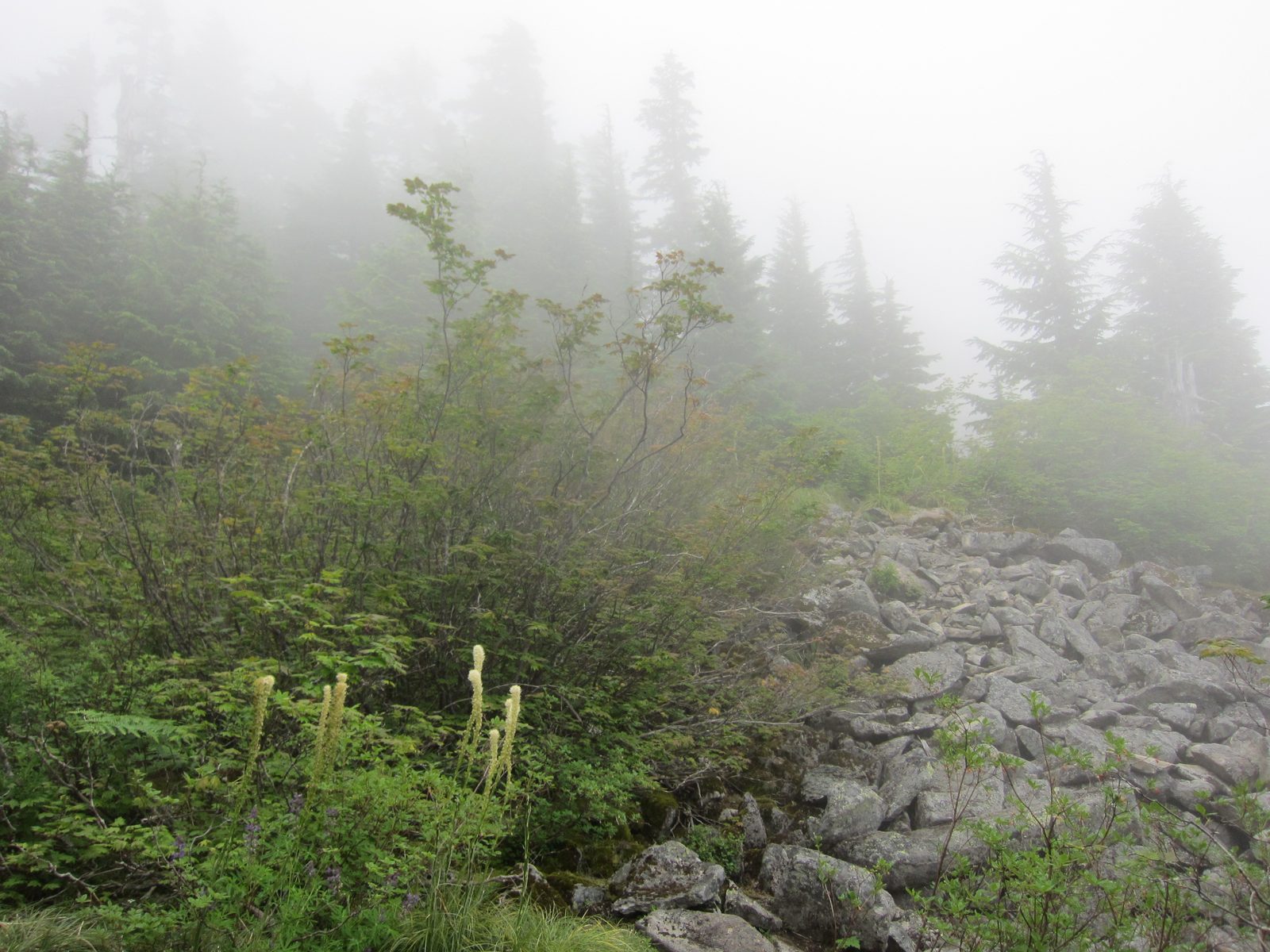 Seeing these rock fields was a relief - the guidebook [...