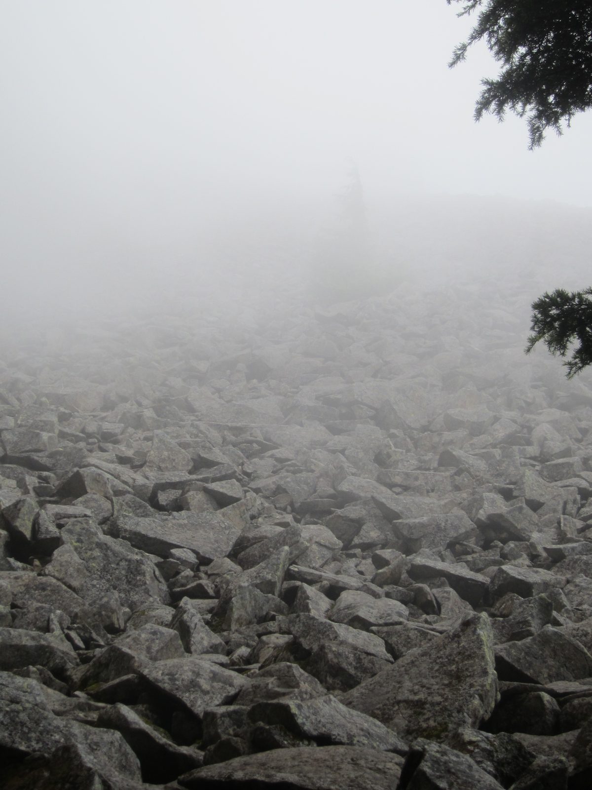 I think the rock fields would have been even cooler if we could actually see them.