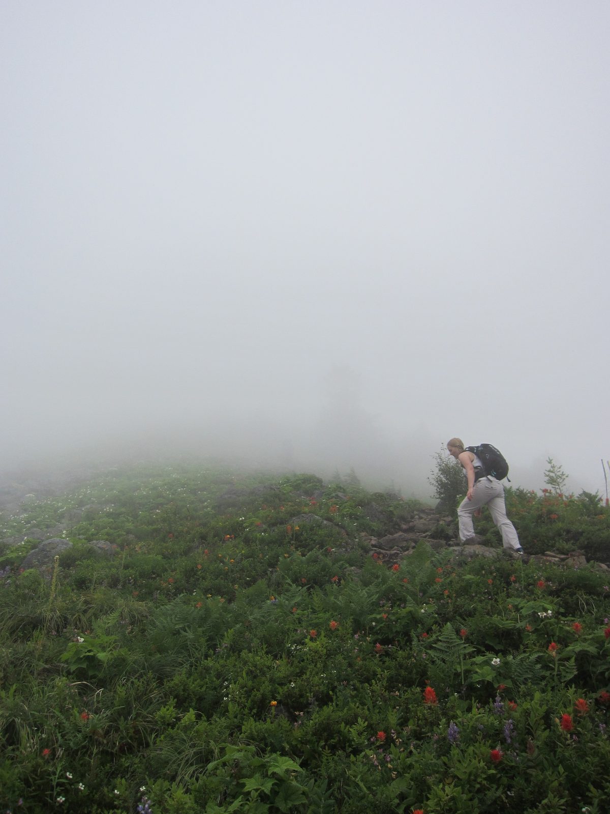 Diana hikes through an even more open area, with more flowers.