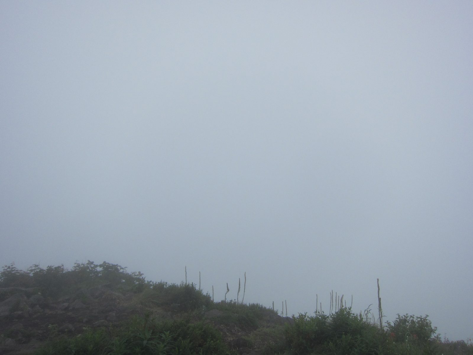 Our view, to the east.