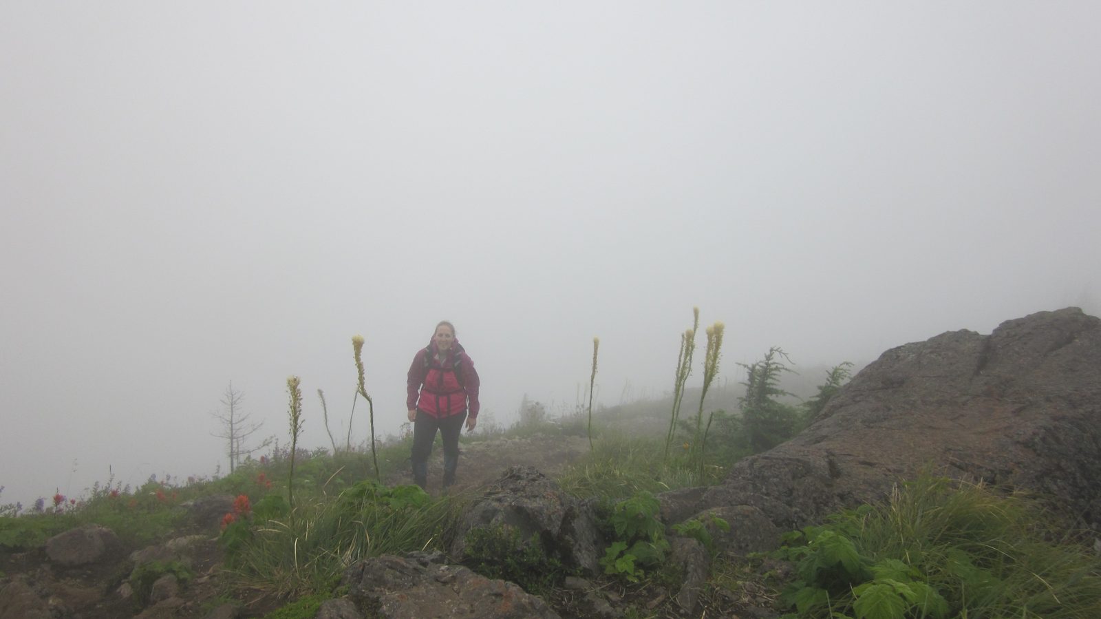 Hiking through the fog.