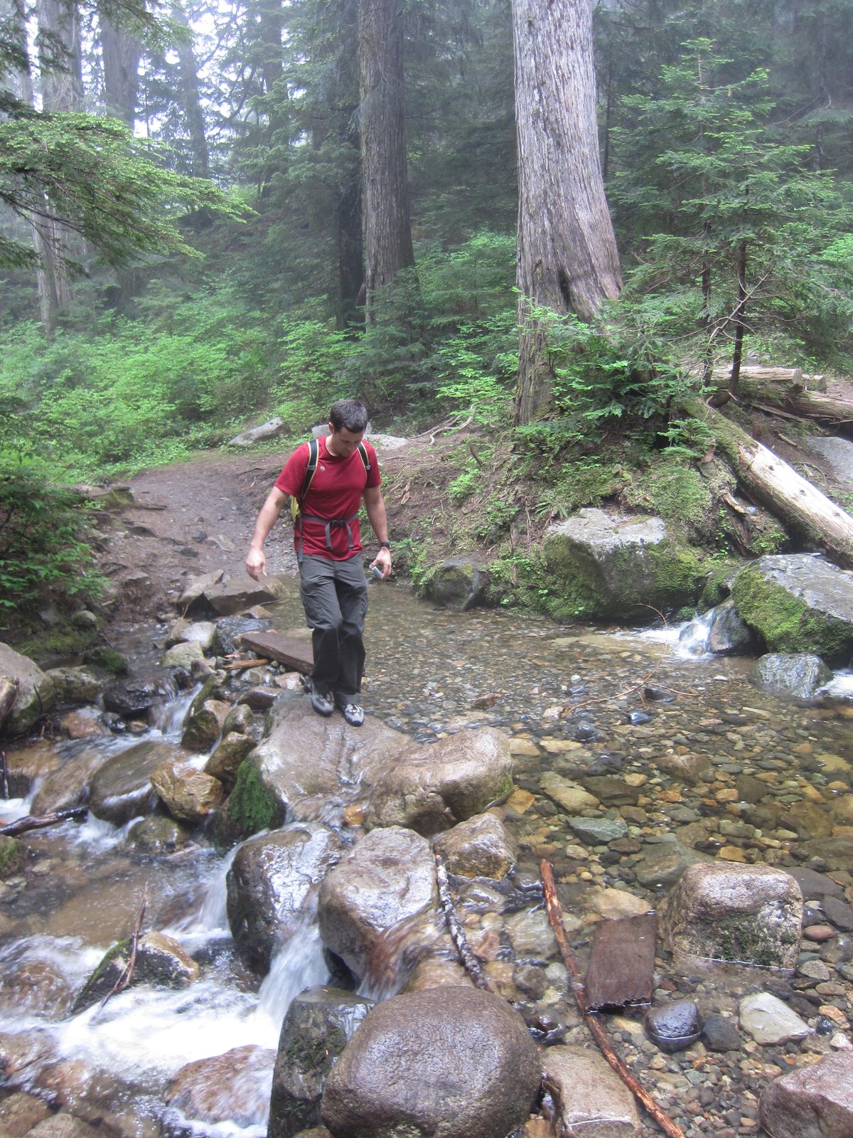 Jay crosses a little stream.