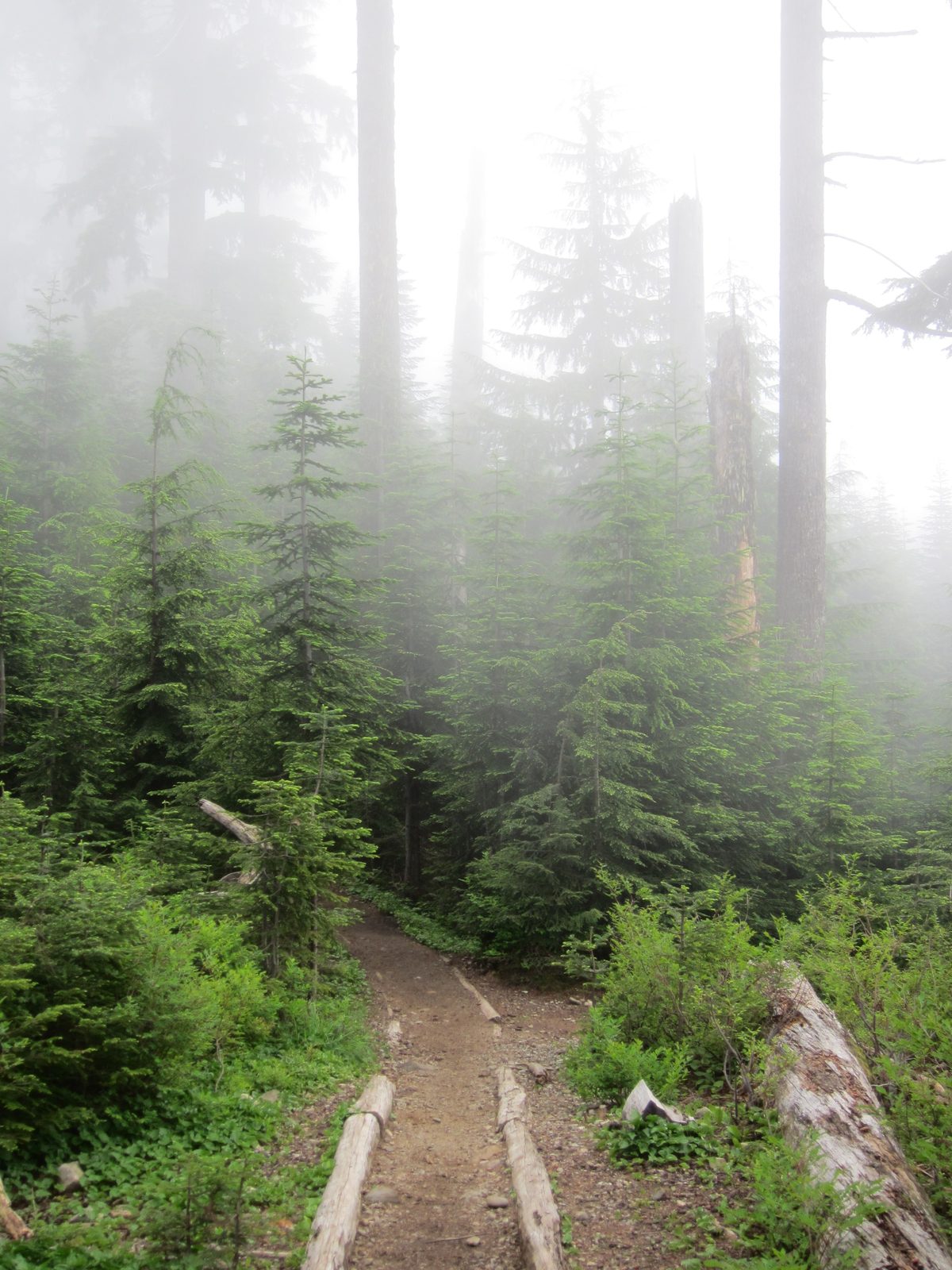 The trail was excellently maintained, which made for an easy hike.  Now if only those clouds...