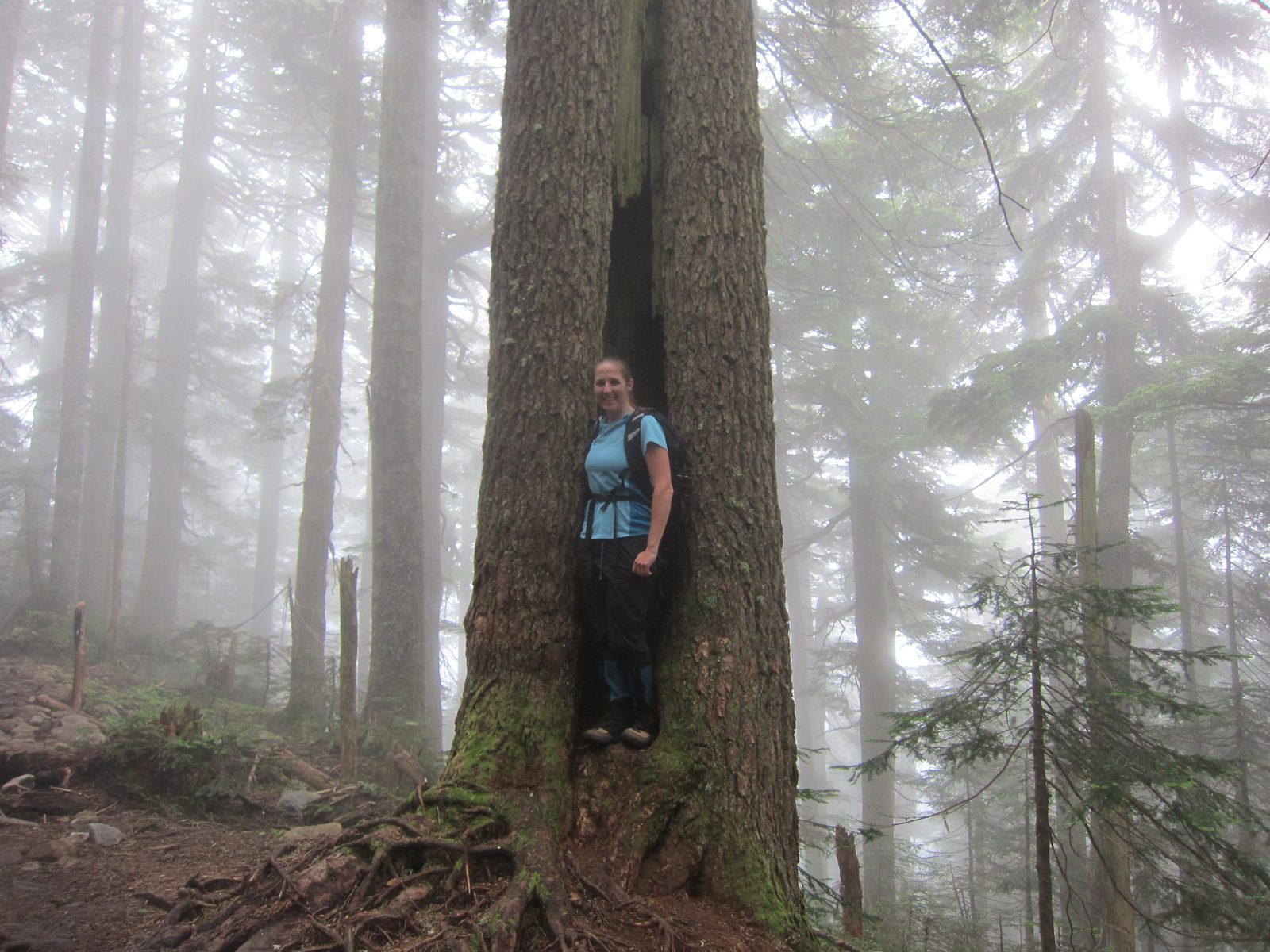 This hike's newest piece of gear - the blue gaiters.  They kept a lot of mud and water off the...