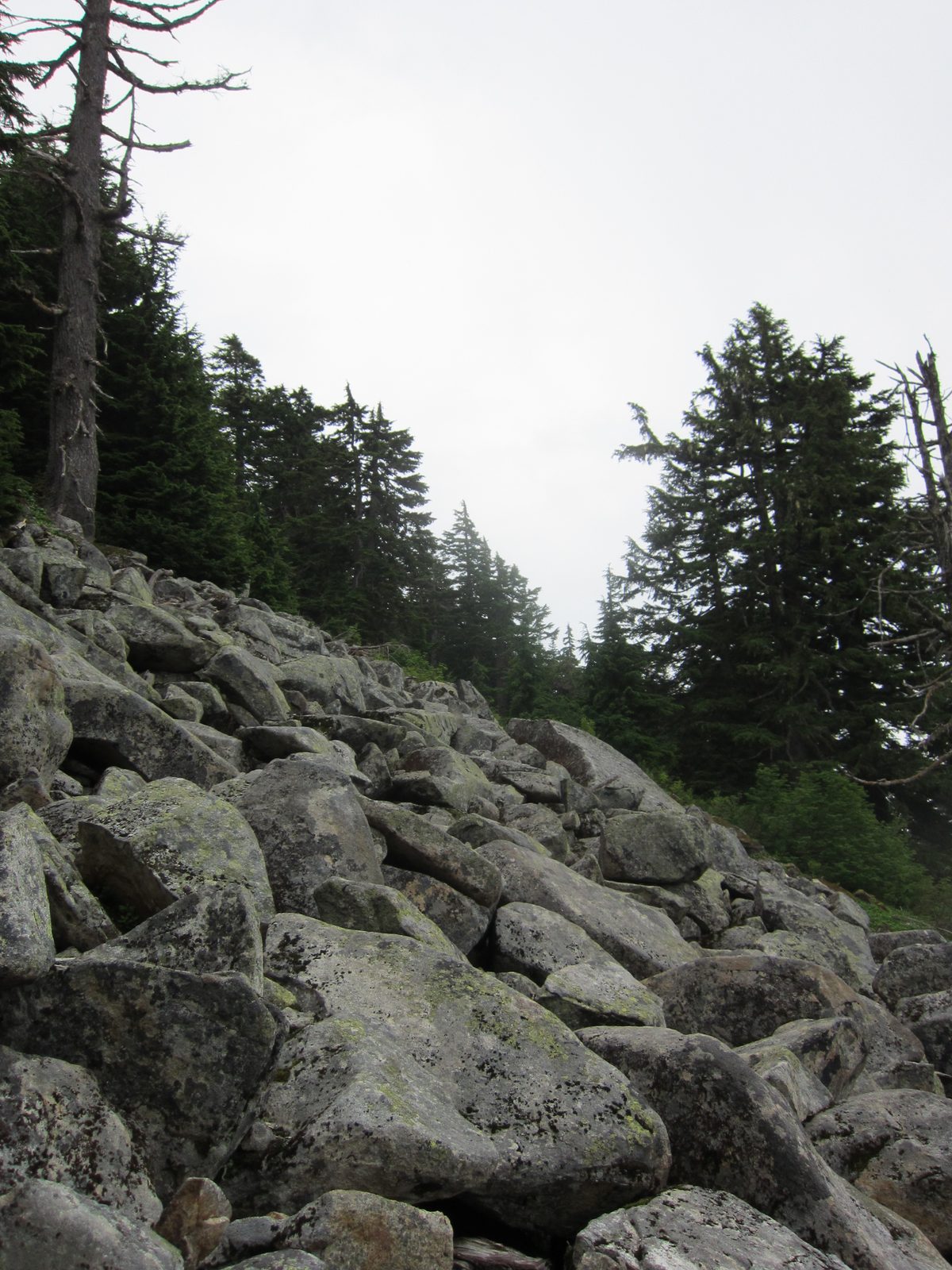 Part of the trail skirted a talus field.