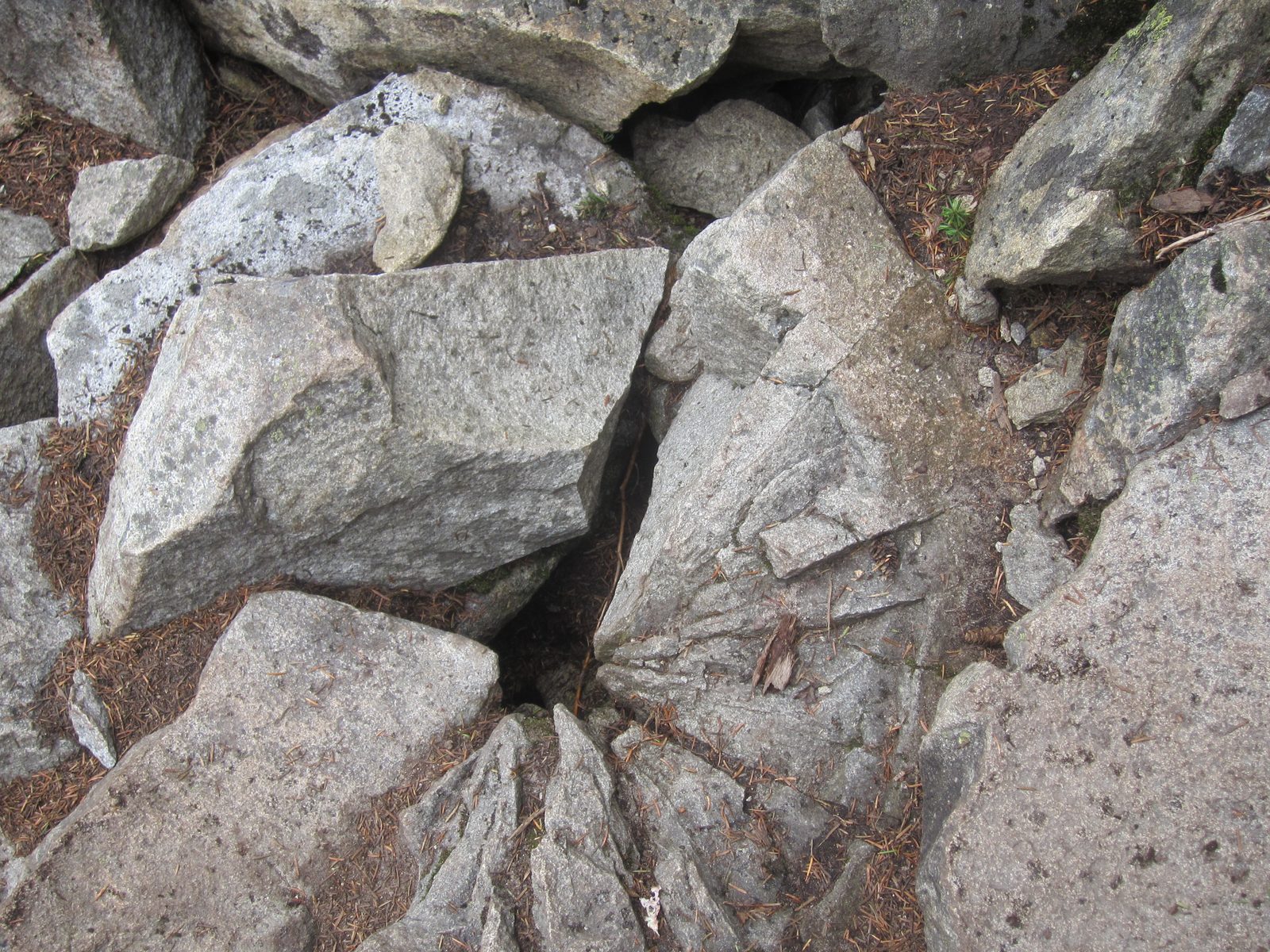 We saw several rocks that had these star-shaped scars in them.  It looked like something that...