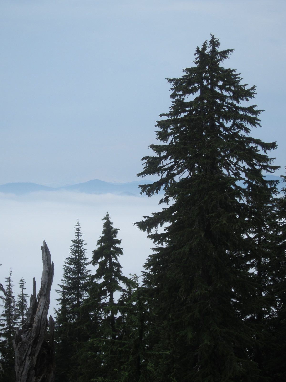 We finally got above the cloud line and got a view of some nearby mountains.