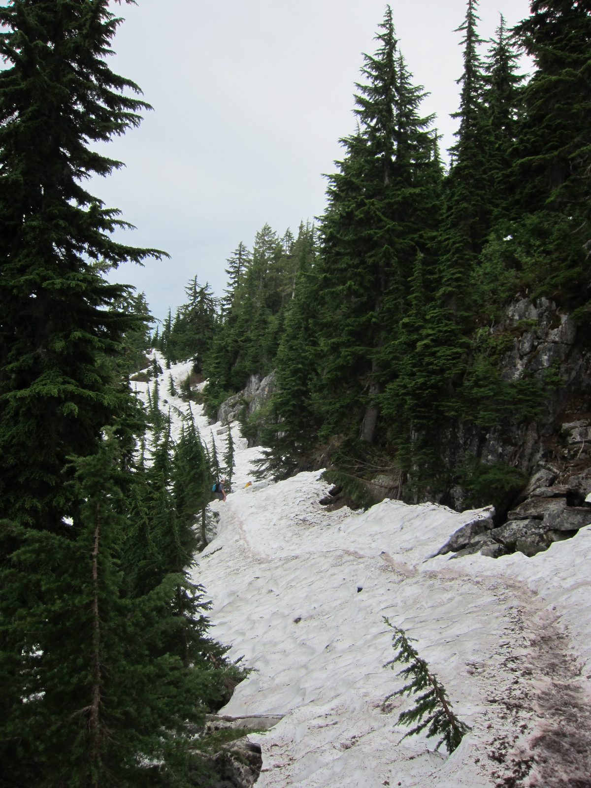 Hrm.  More snow.  This snowfield (with trail across it) turned us around.  Steep on one side and...
