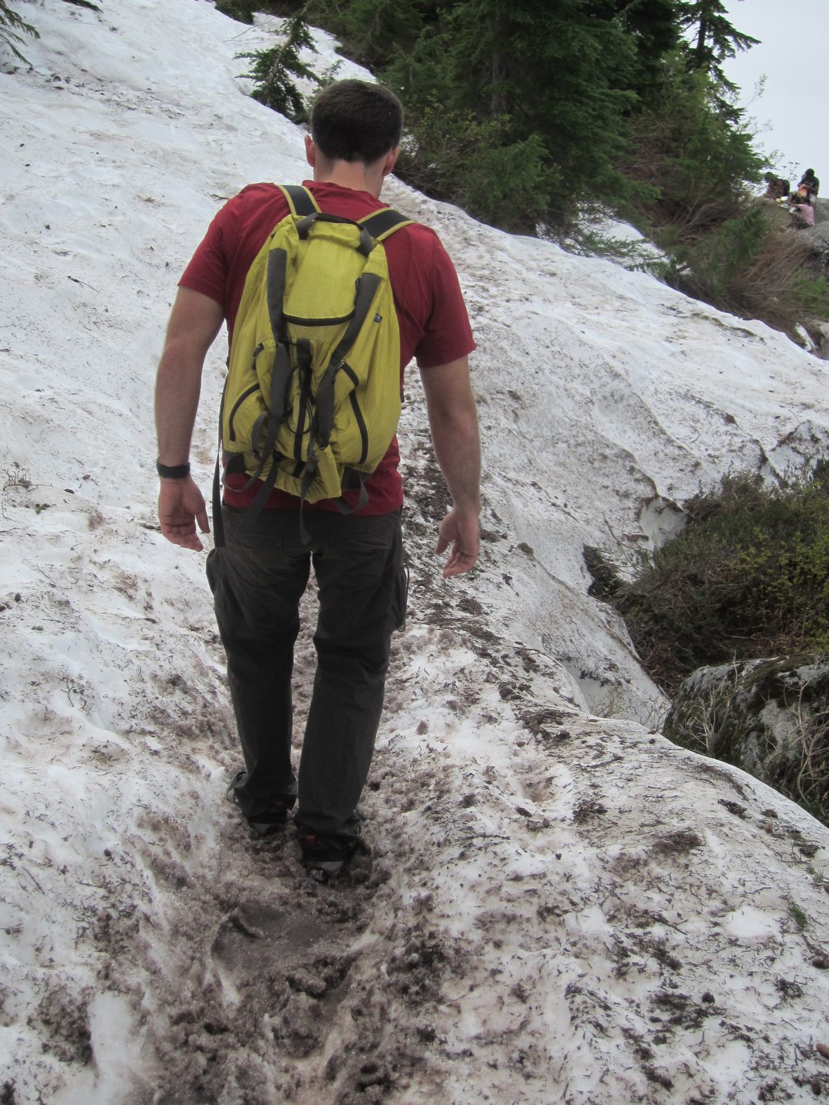 Jay carefully navigates more snow.