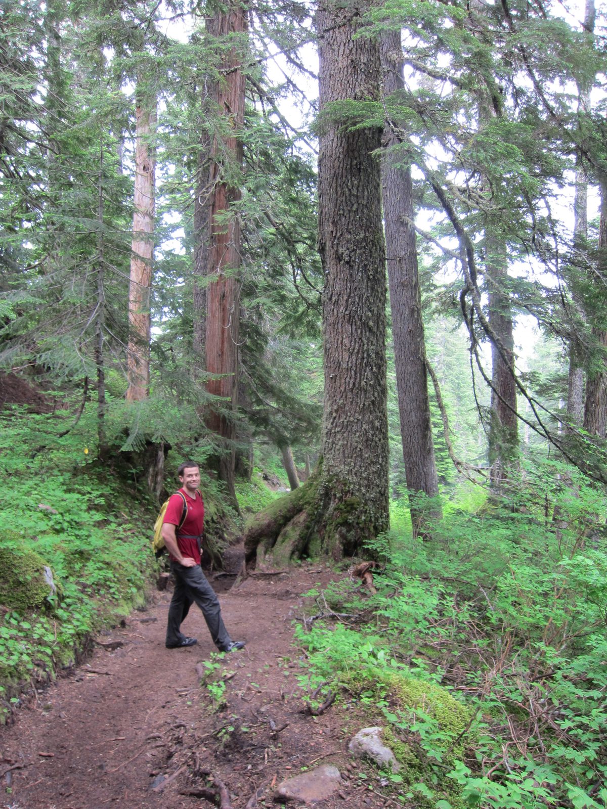 Another shot of Jay hiking the Mt Pilchuck trail.