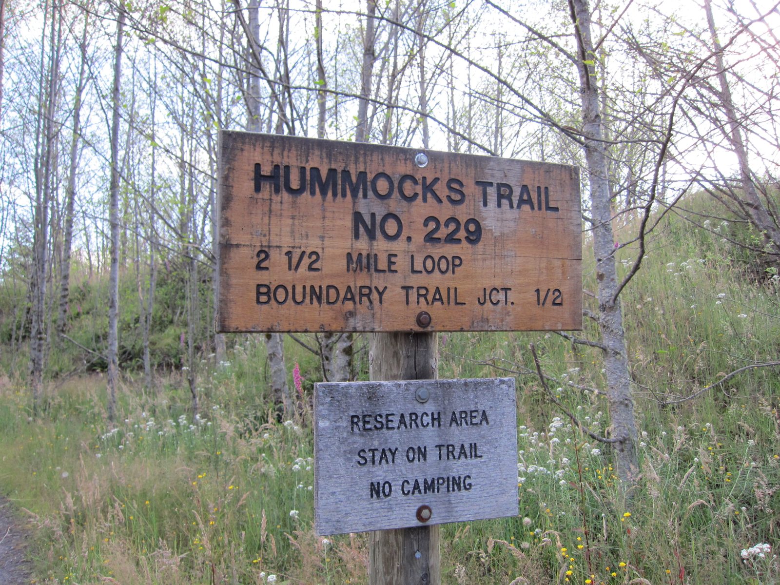 On my way back down to civilization, I stopped at another trail - the Hummocks Trail.  As I...