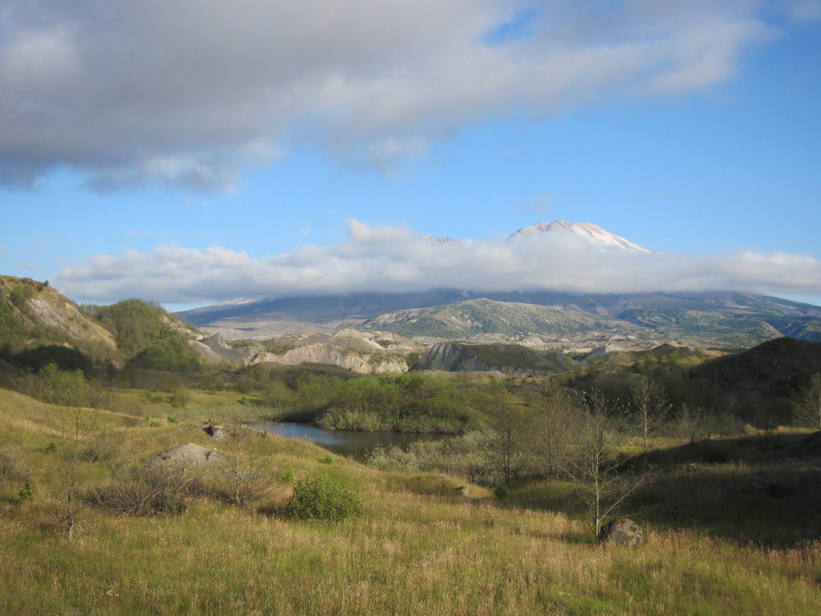 Looking back towards Mt. St. Helen's.  It's very green, really, given the devastation that occurred.