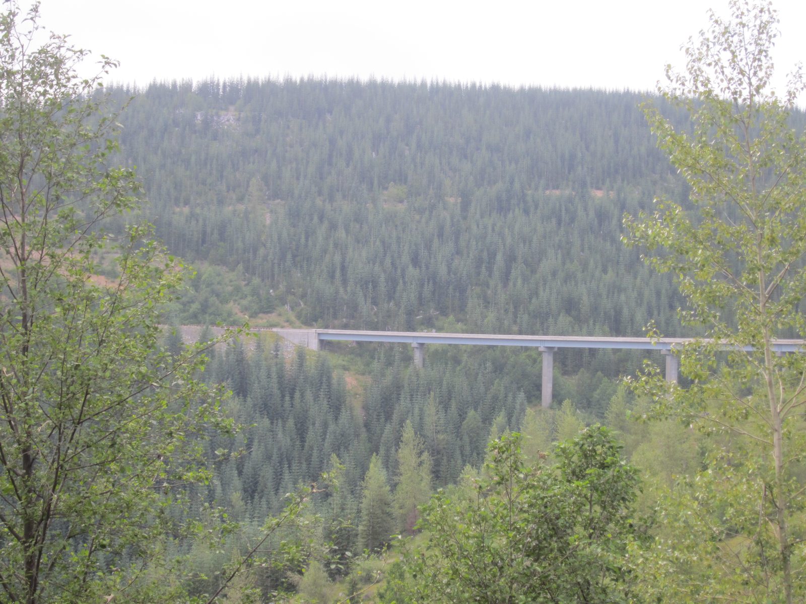 Two things of note: one, there were lots of cool (and generally brand new) bridges on the road...