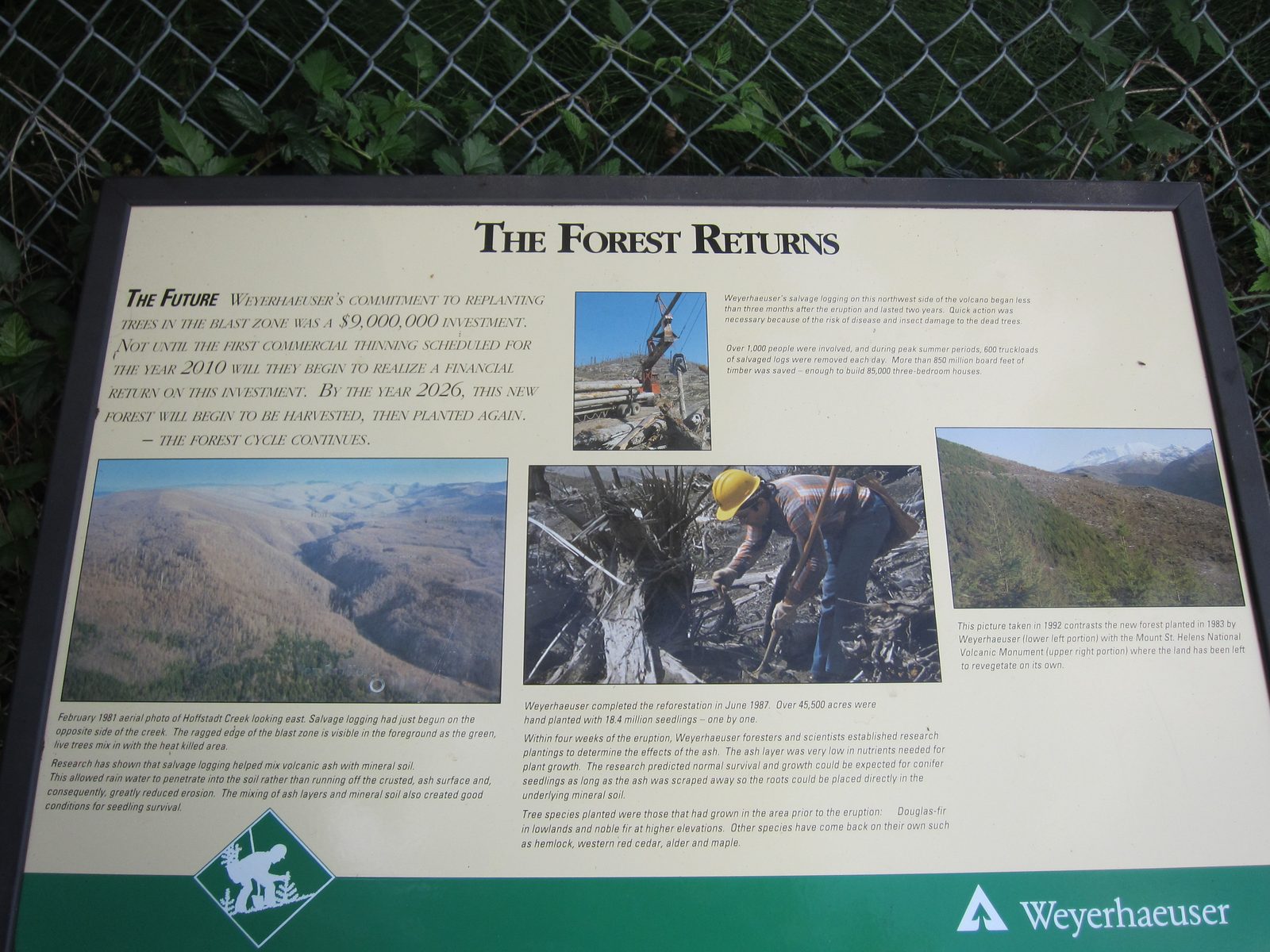 More details on foresting.