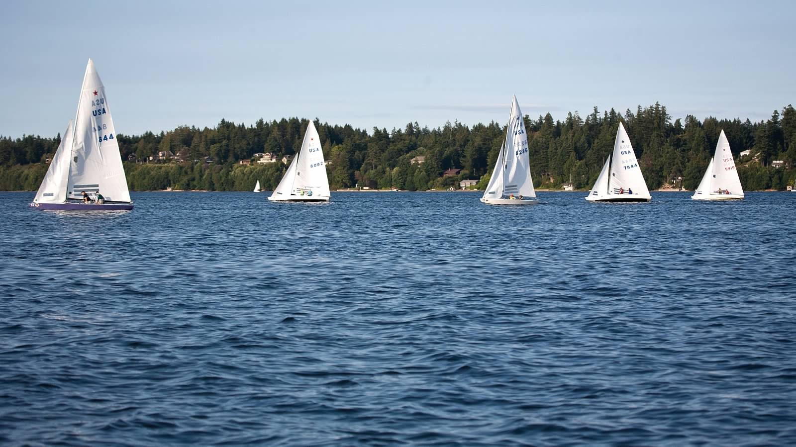 All five boats in the regatta.