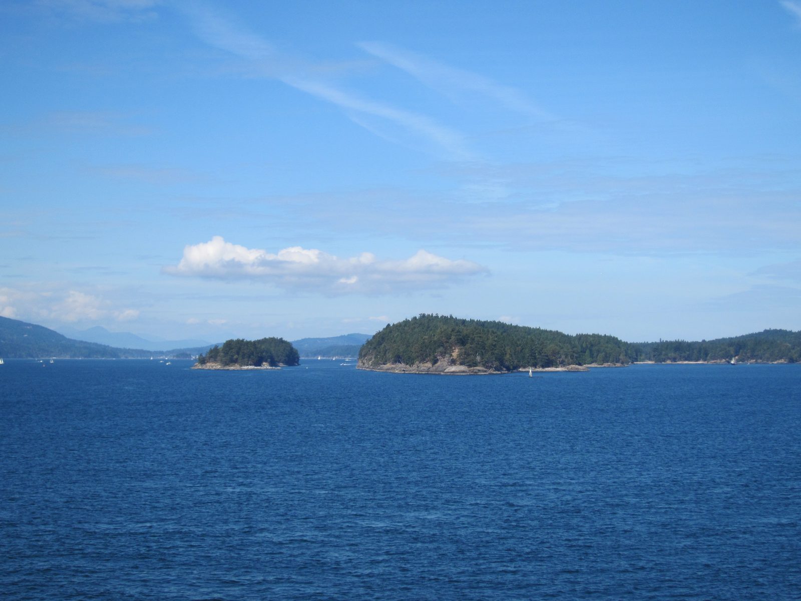 Neat little island in / near Boundary Pass, between Vancouver and Victoria.