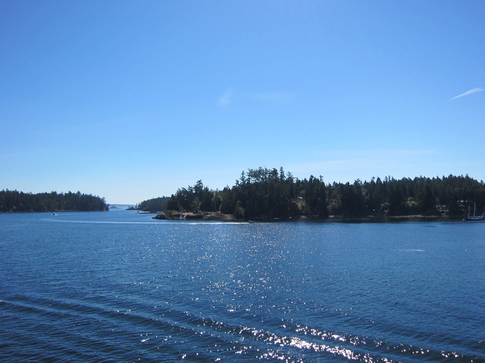 A beautiful day in Swartz Bay.