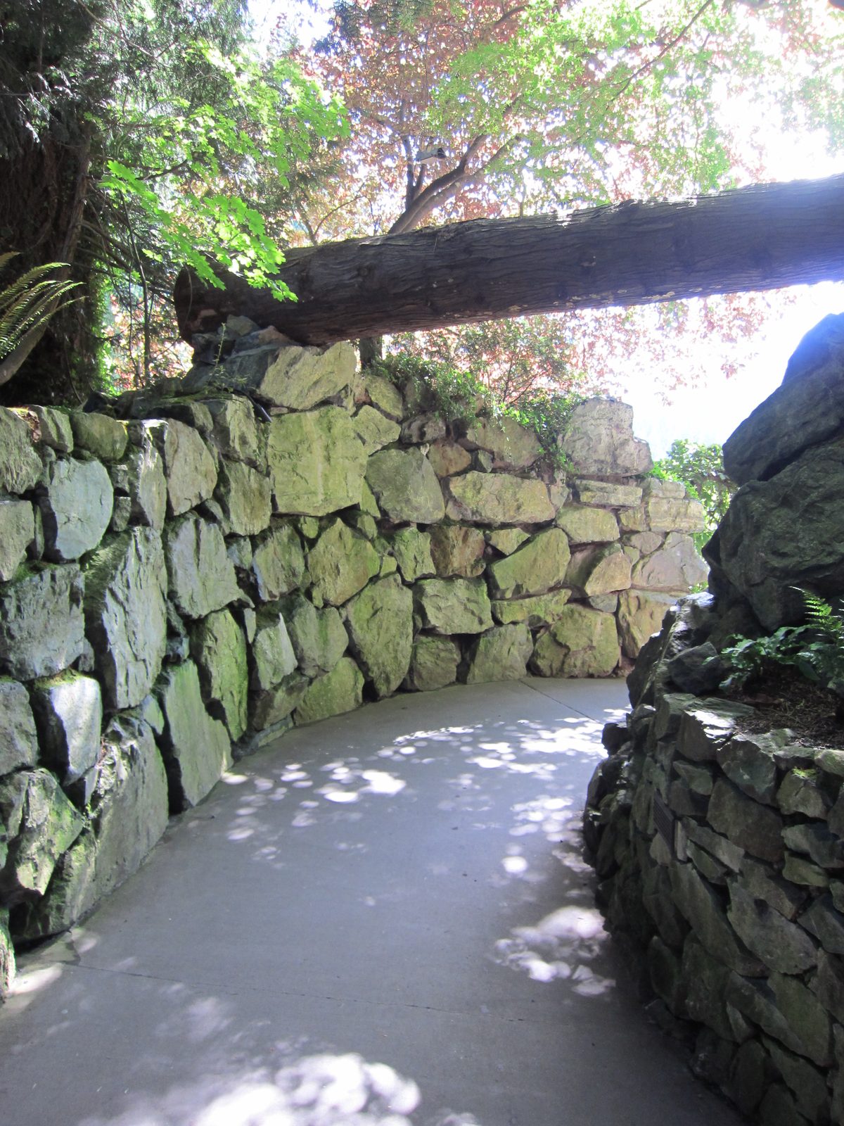 The major attraction of the Gardens is a central sunken area, in what used to be a quarry. ...