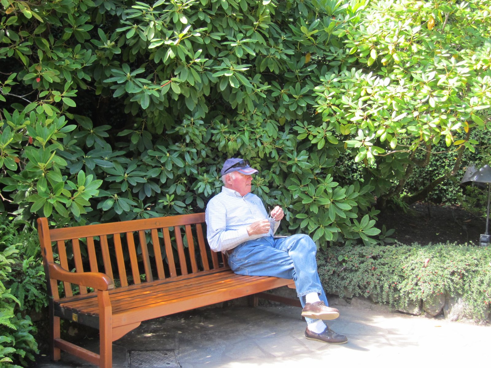 Dad pauses on a nice bench that reminds me of the one we had at Brushy Hill.  Did that come to Arizona?