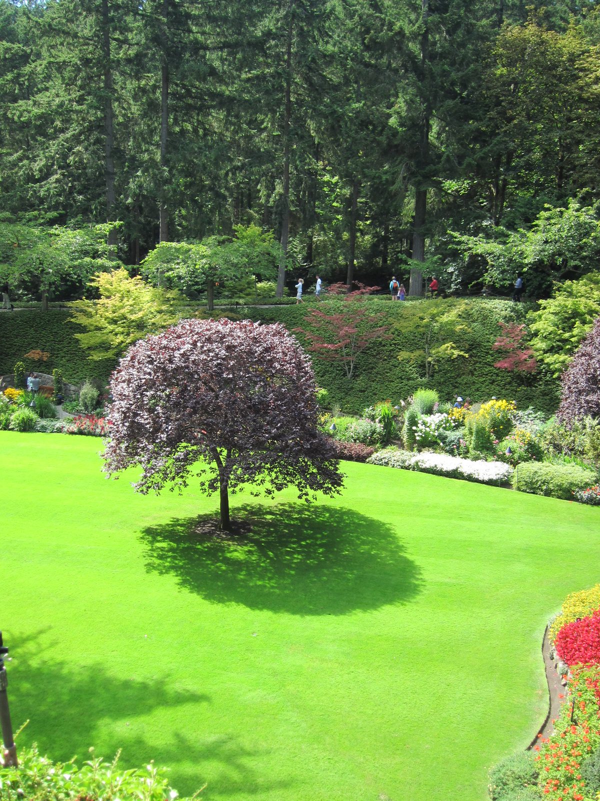 It was almost downright hot in the gardens, with all the sun we got.
