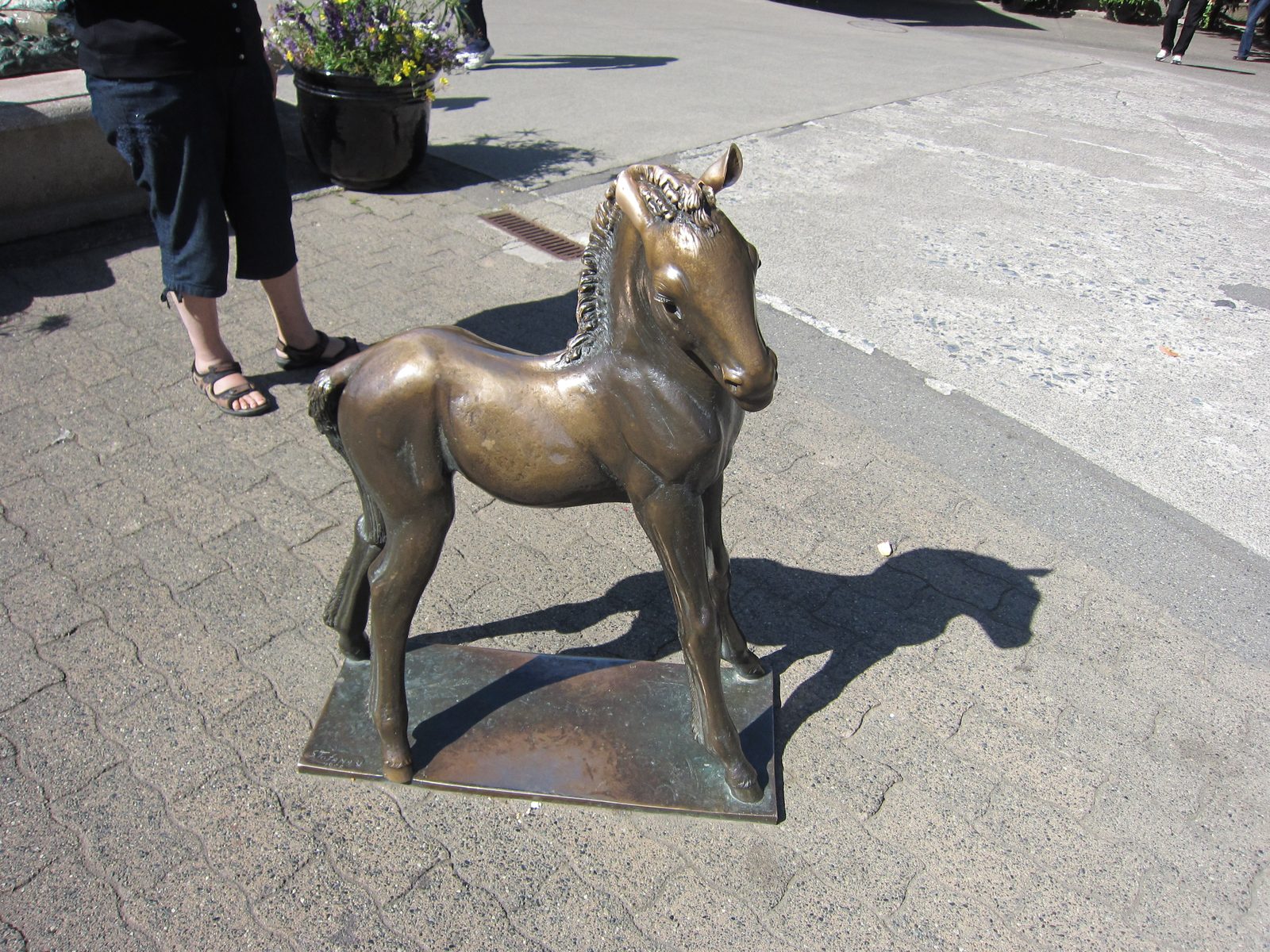 Aw.  Pony.