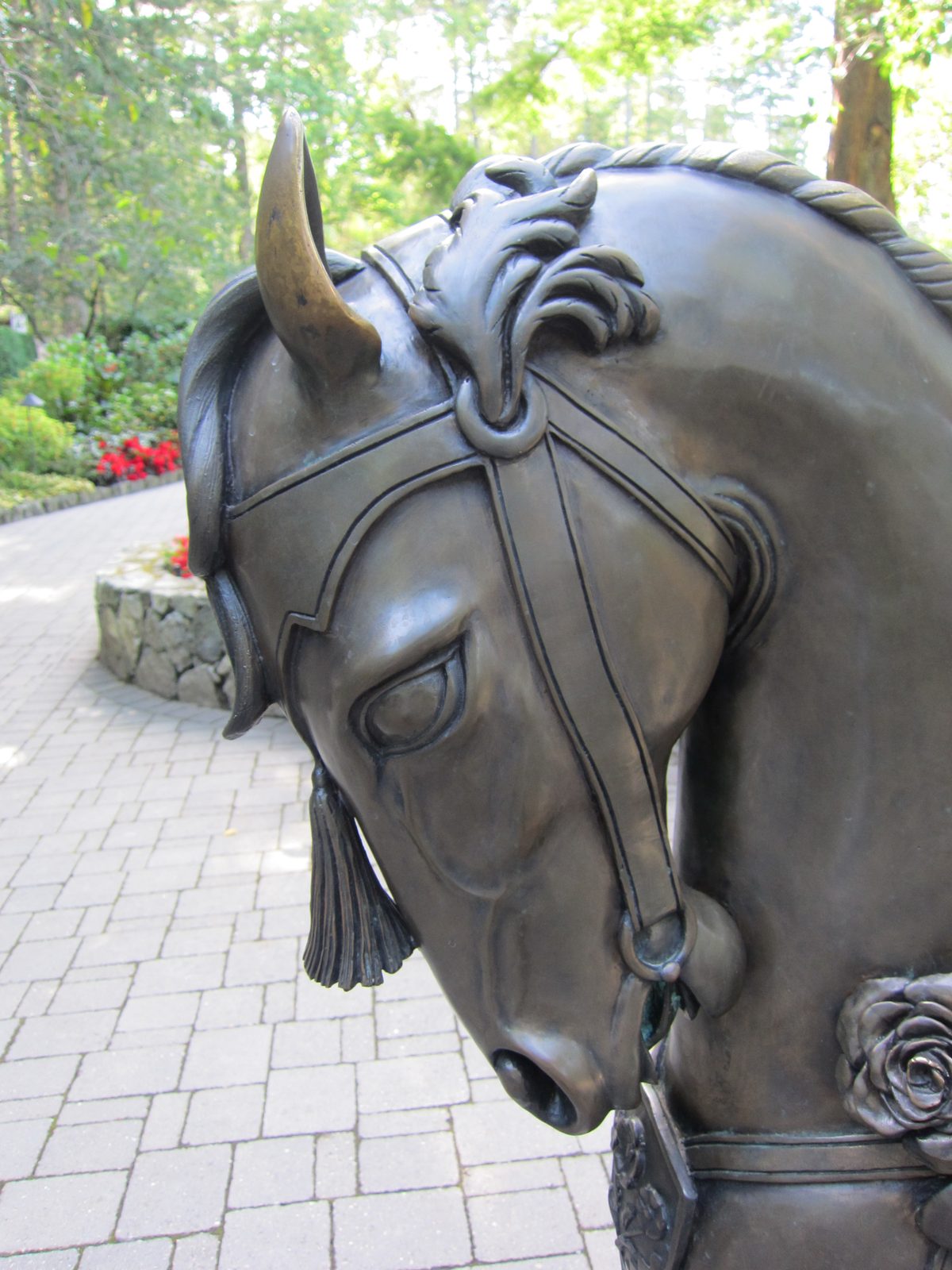 Another horse!