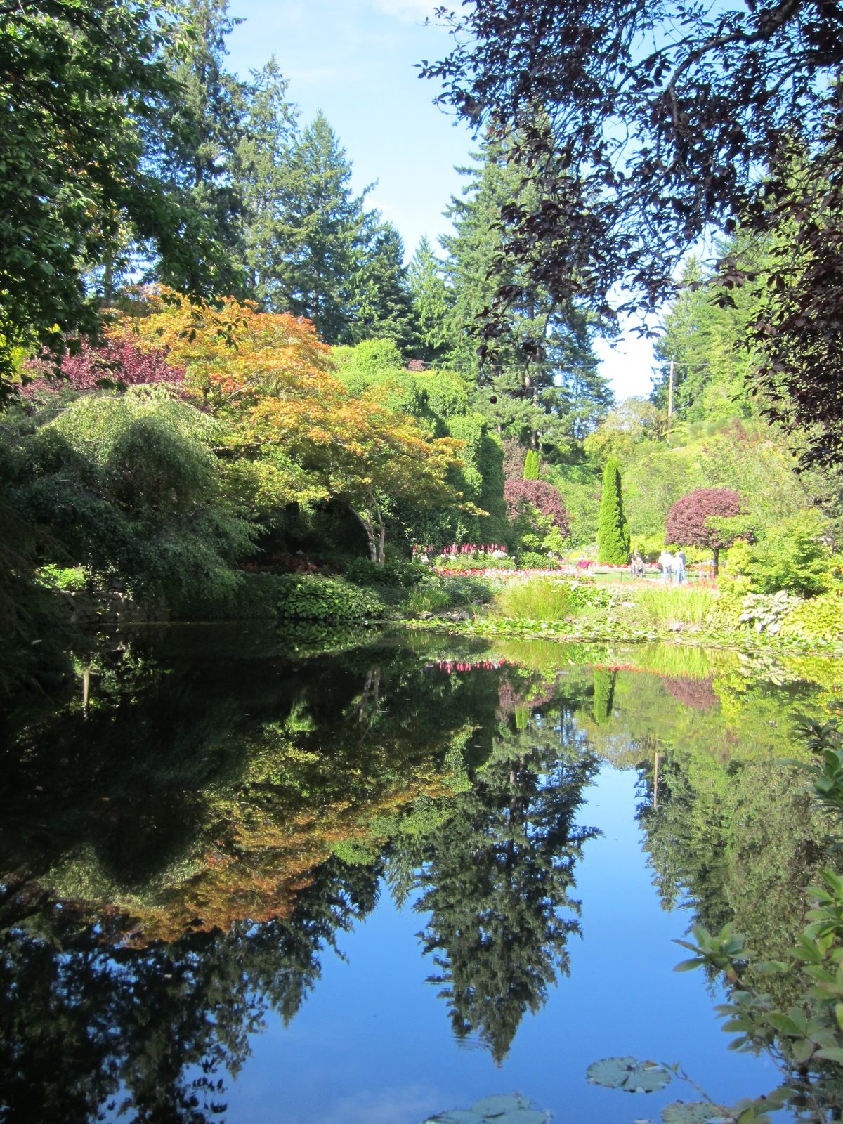 It took me more than a few seconds to figure out which way to rotate this photo.  Great reflections.