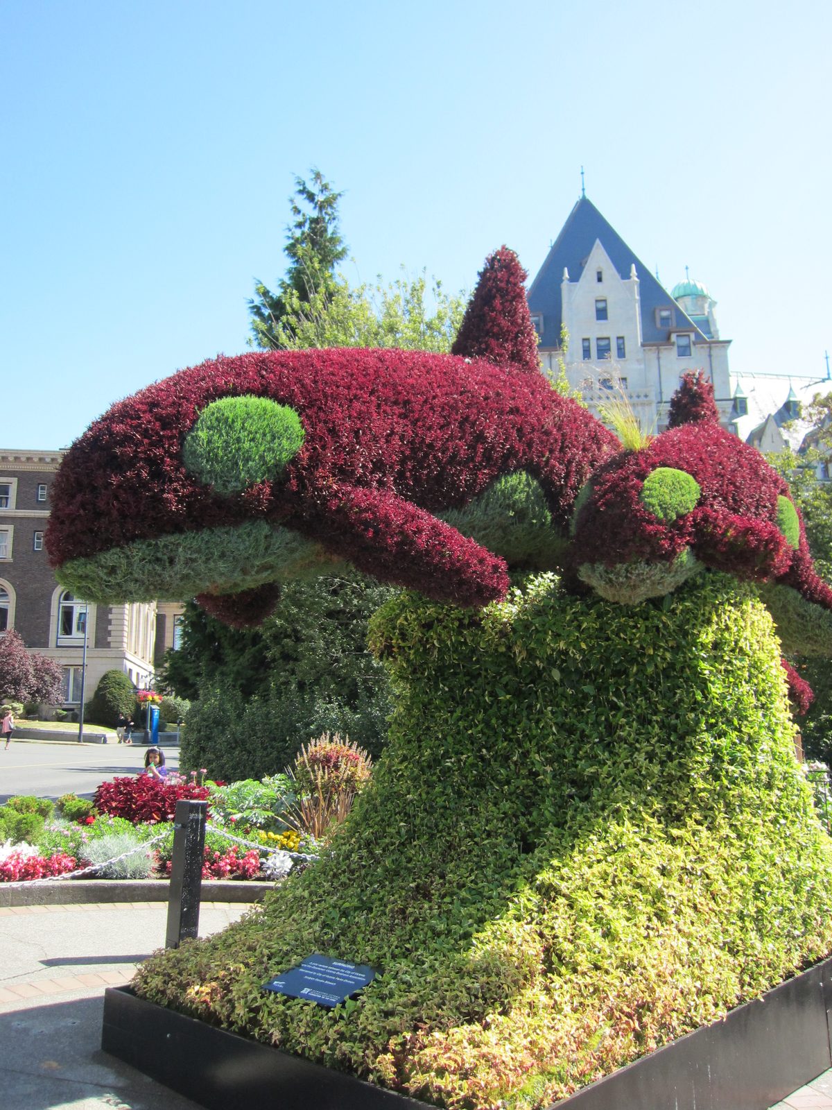 I wonder what it would take to have an orca topiary in my front yard...