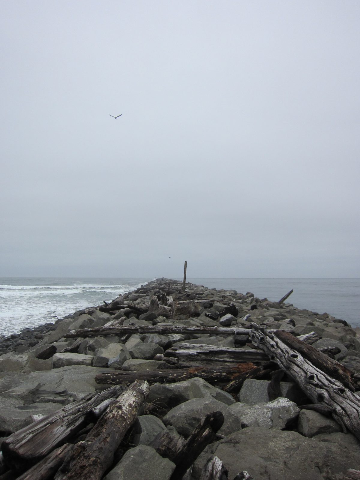 Walking on the jetty.
