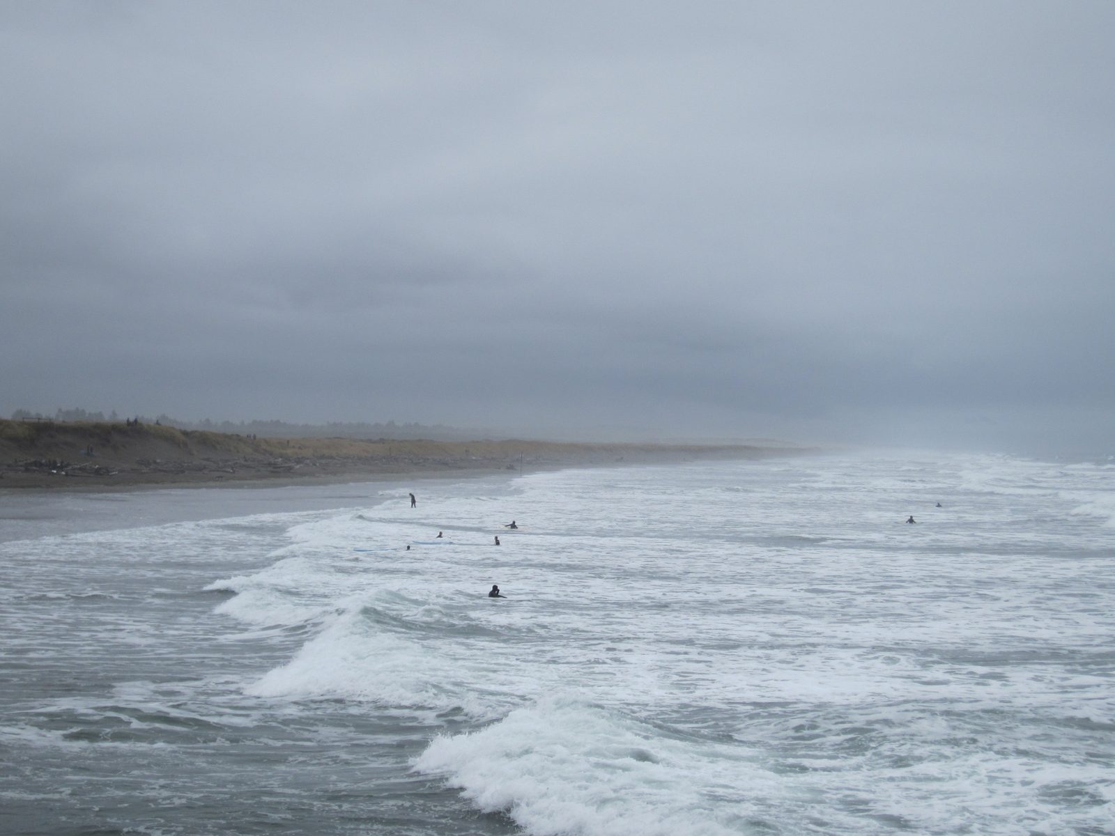 There were actually a lot of folks in the water.  They were wearing a lot of neoprene.