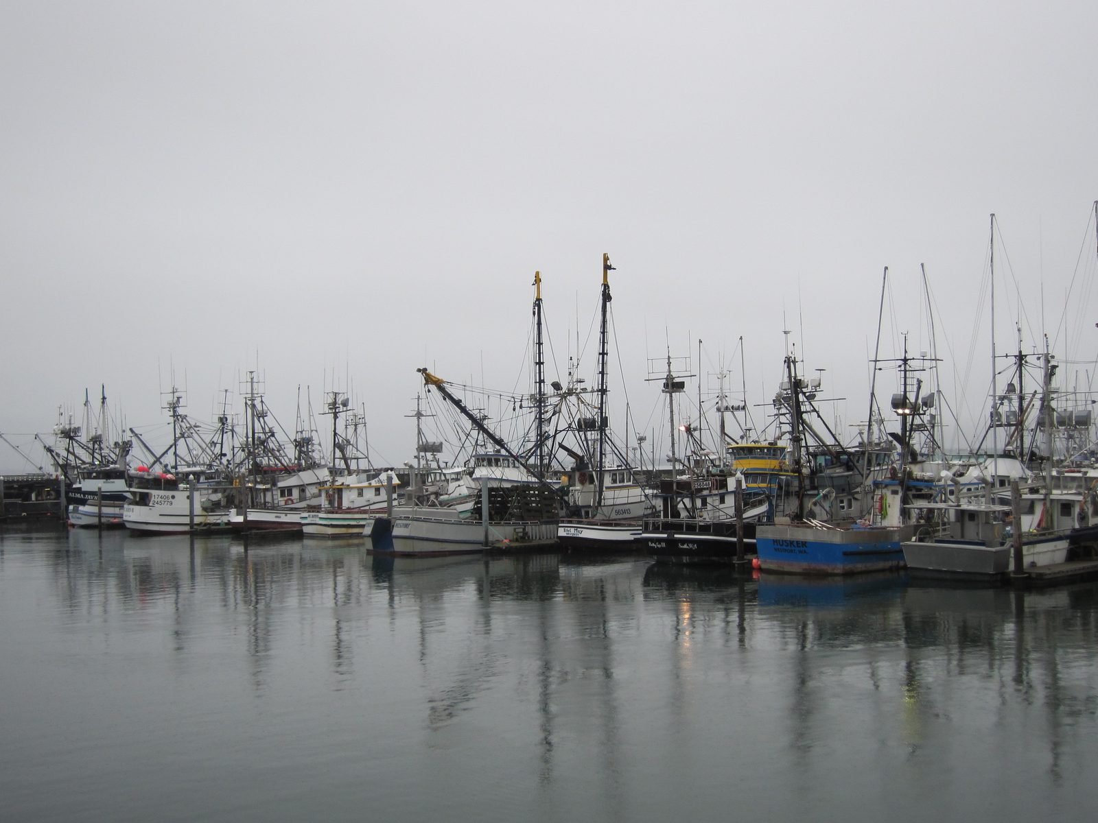 Boats in the port of Westport.  Interestingly, there is a salmon hatchery nearby, but there is...