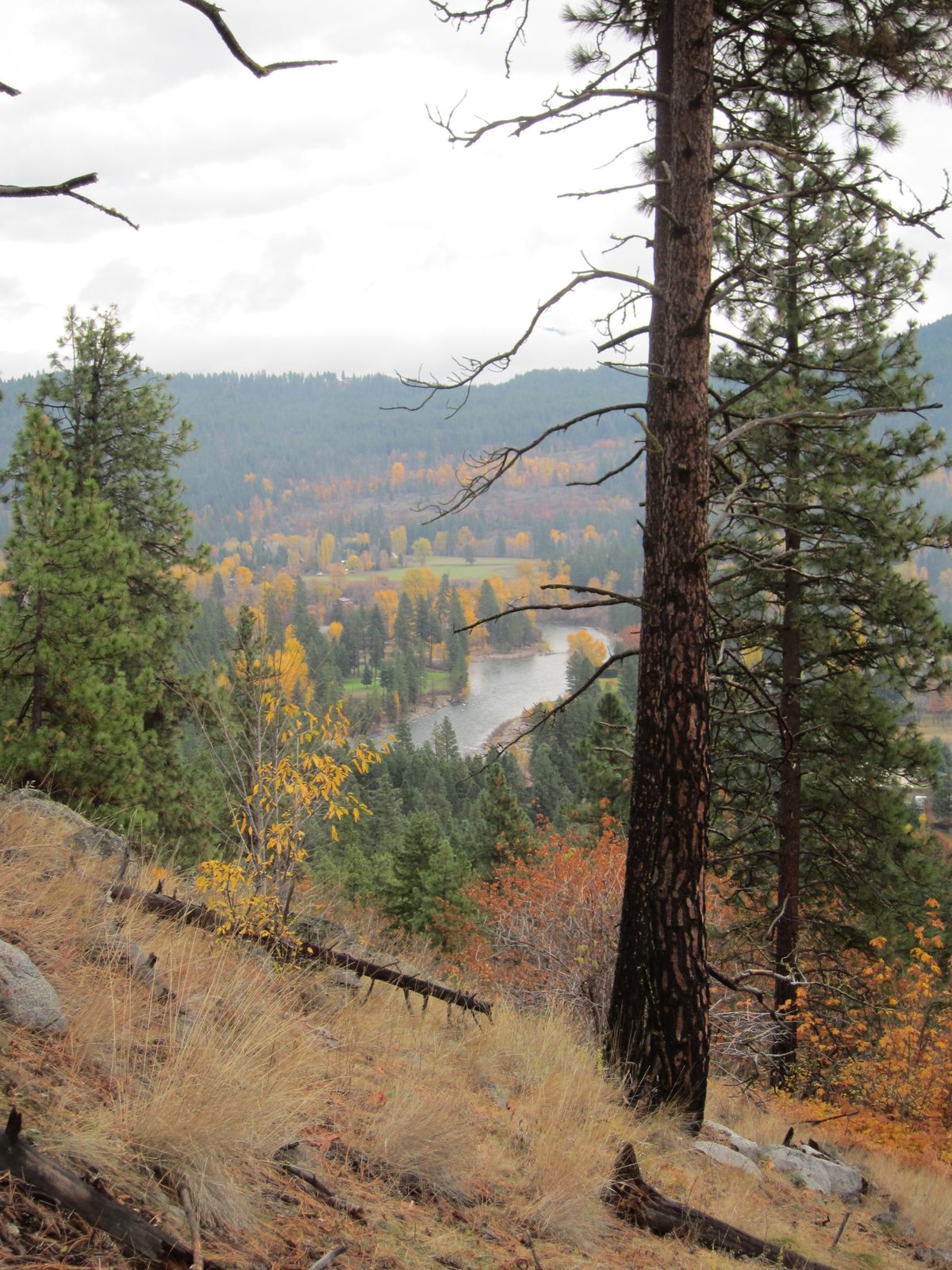 Looking down at the Icicle Creek (which drains into the Wenatchee River in Leavenworth (which,...