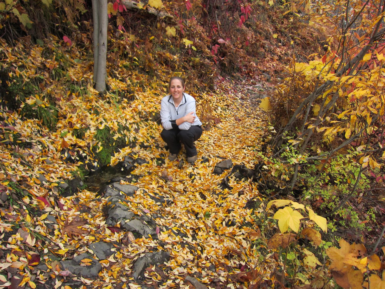 Catherine poses in a bed of leaves near a cross-trail stream.
