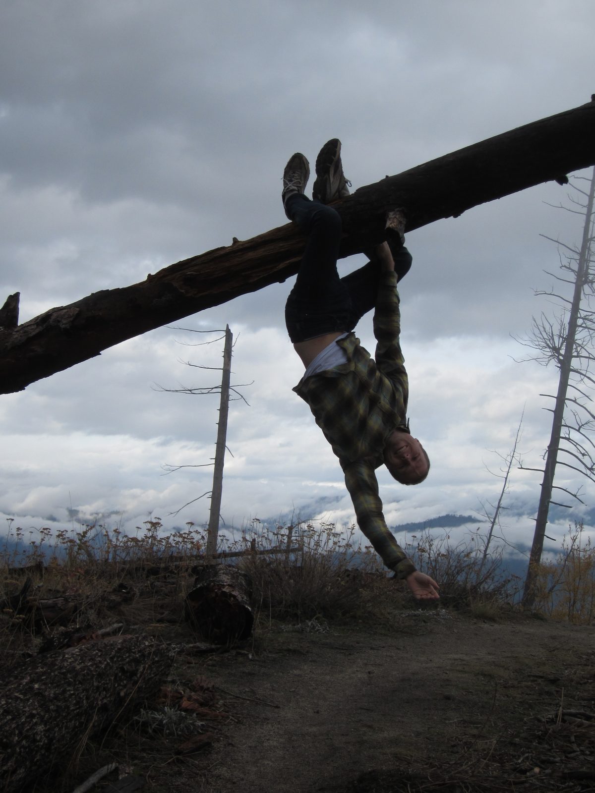 And John decided to become a monkey.
