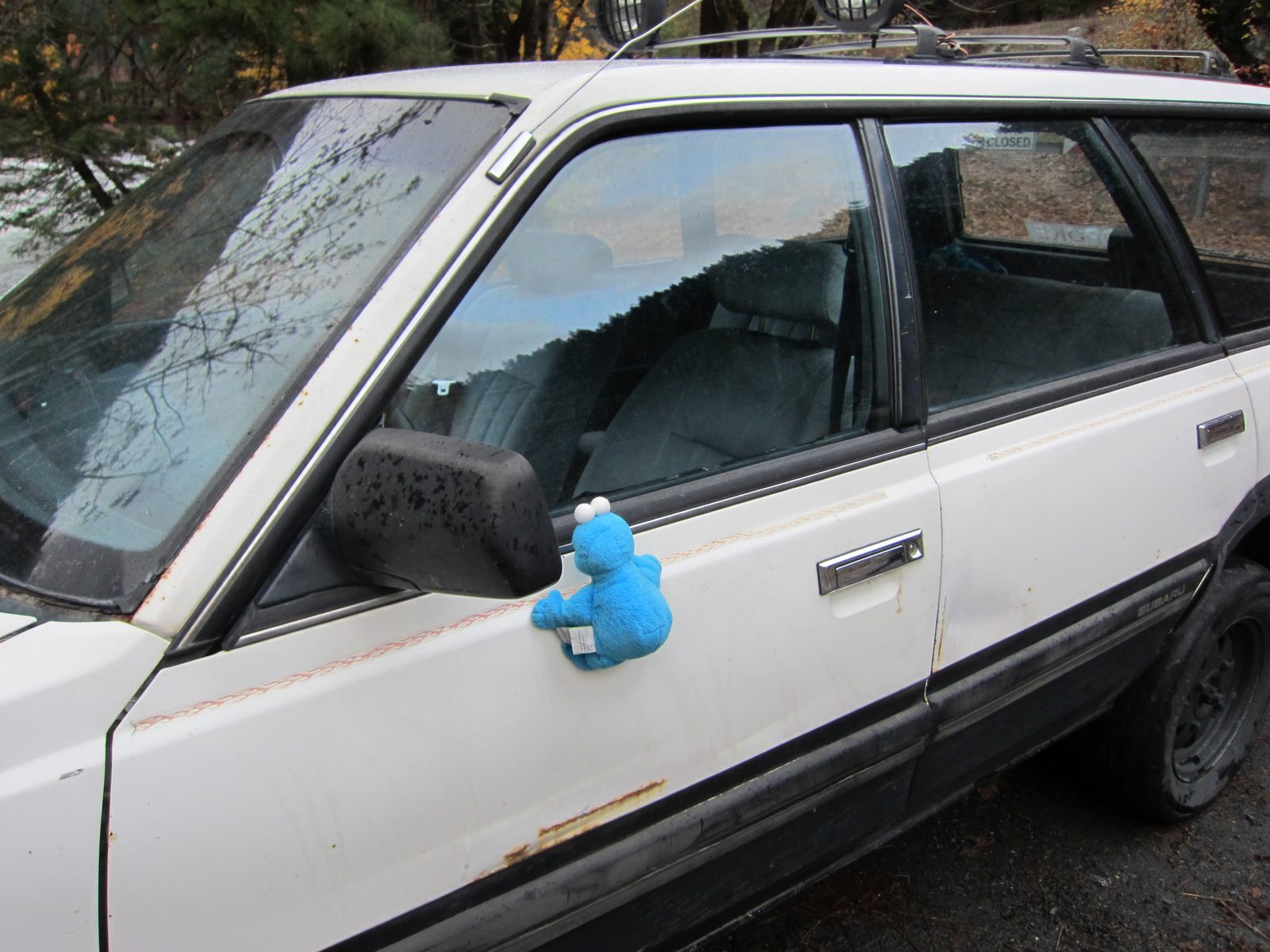 I think this guy (on a car in the lot near the start of the Penstock Trail) had heard what might...
