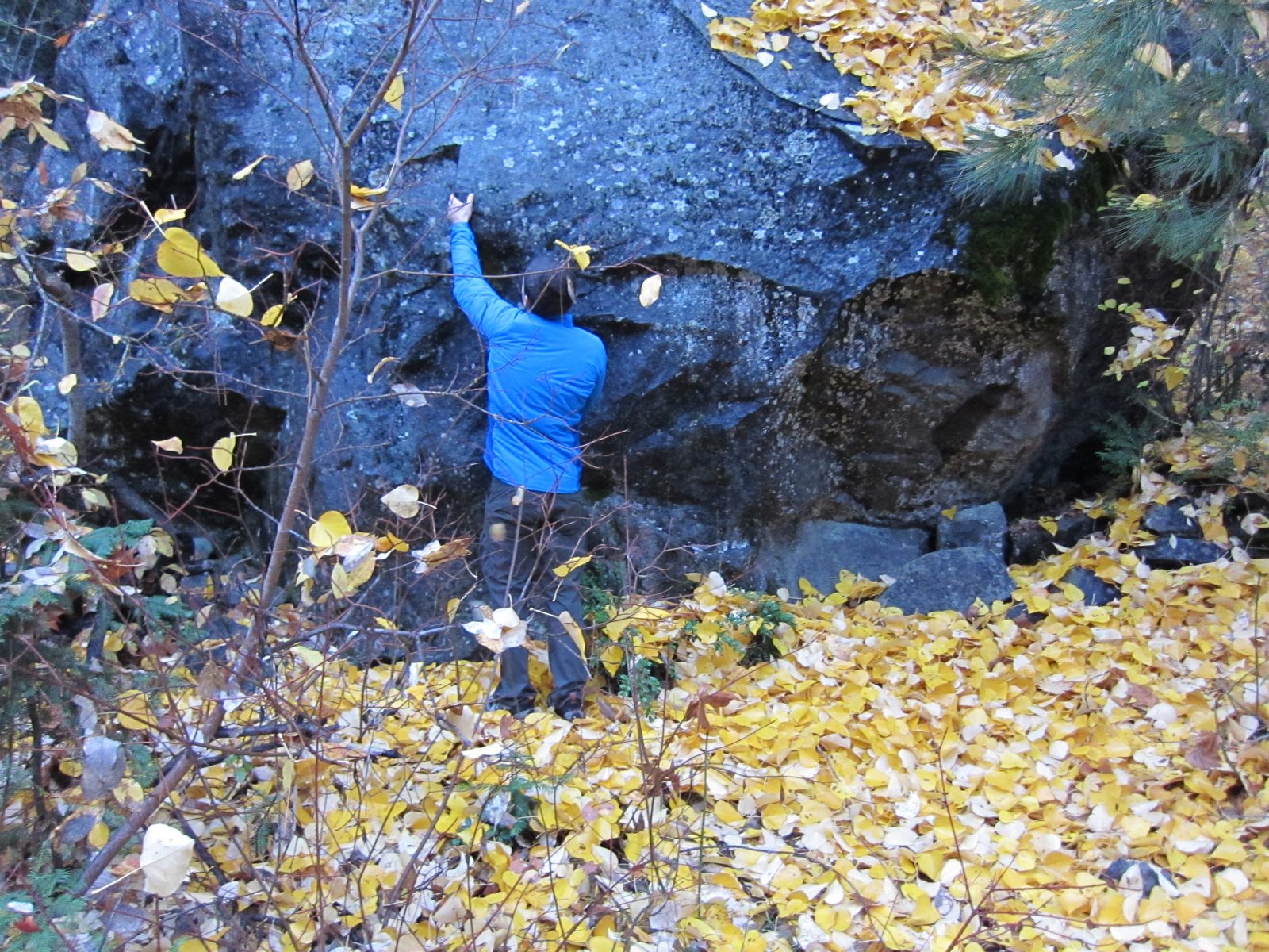A boulder! he exclaimed.  Look at this magnificent boulder!