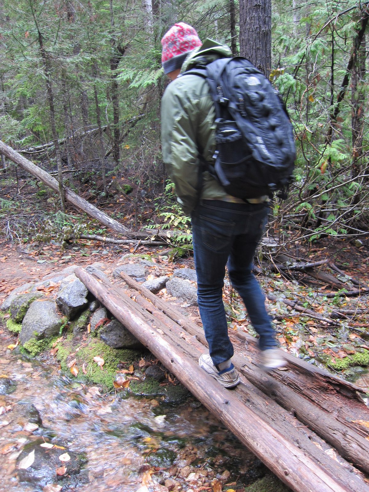 Bridges of the PNW!
