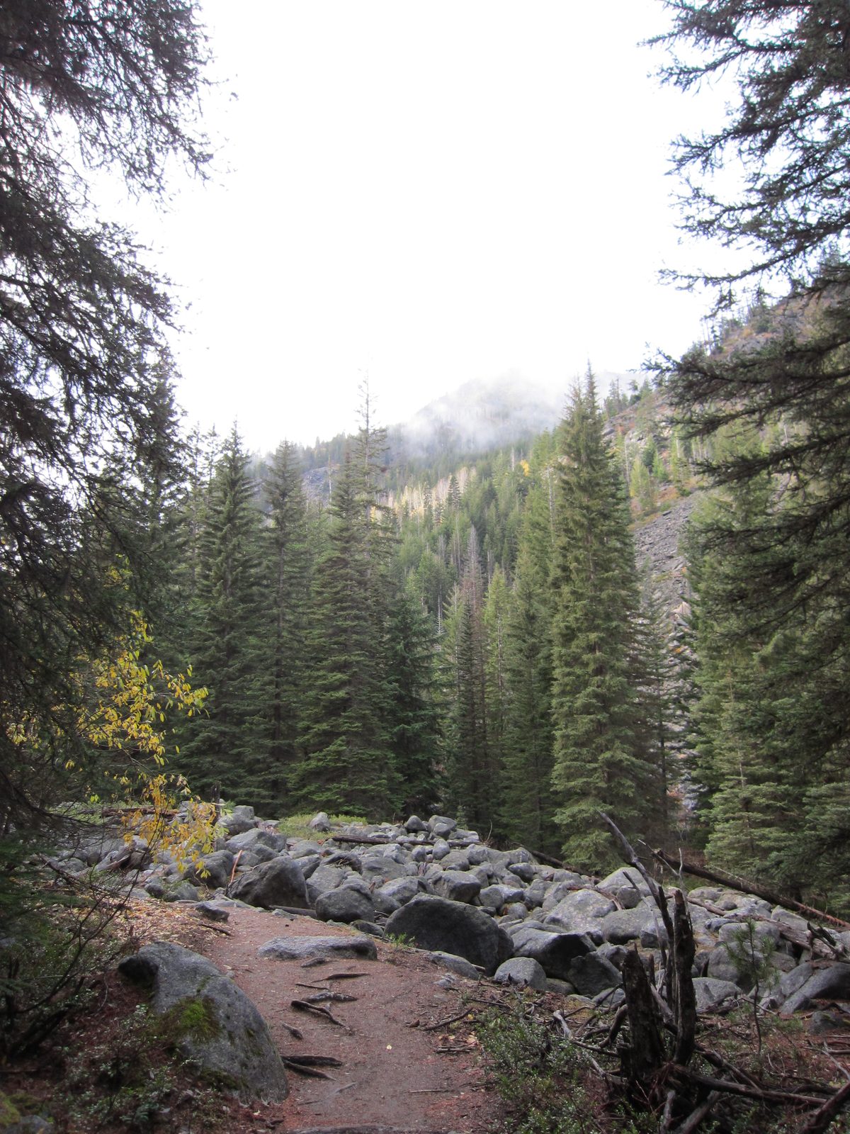 A small boulder field near Mountaineer Creek.