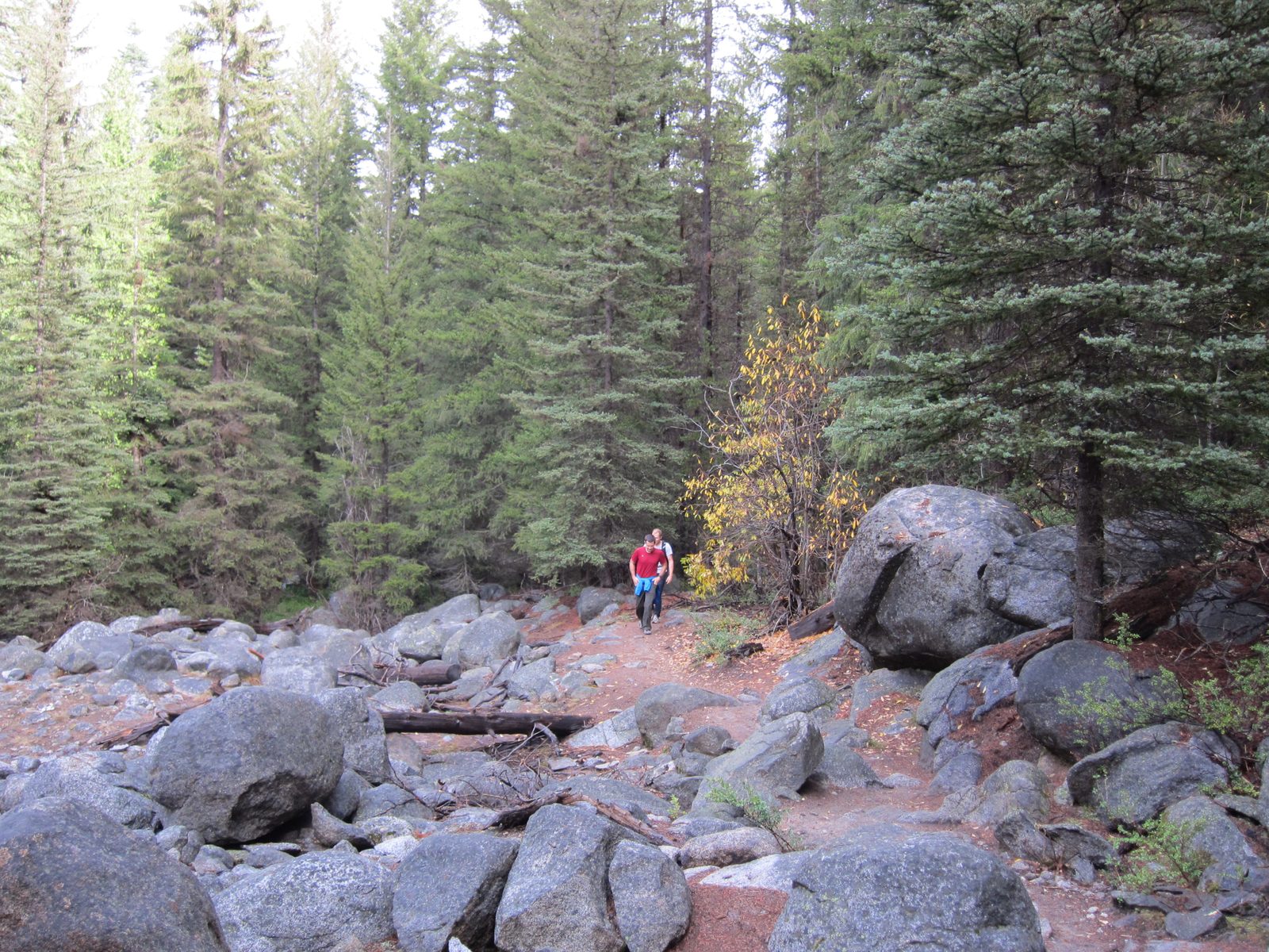 John and Jay hike out of the woods.
