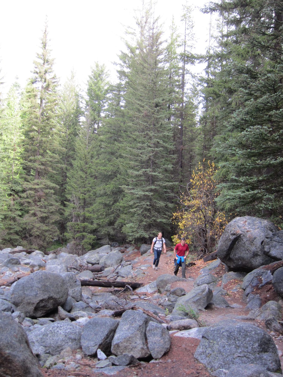 And through the rocks.