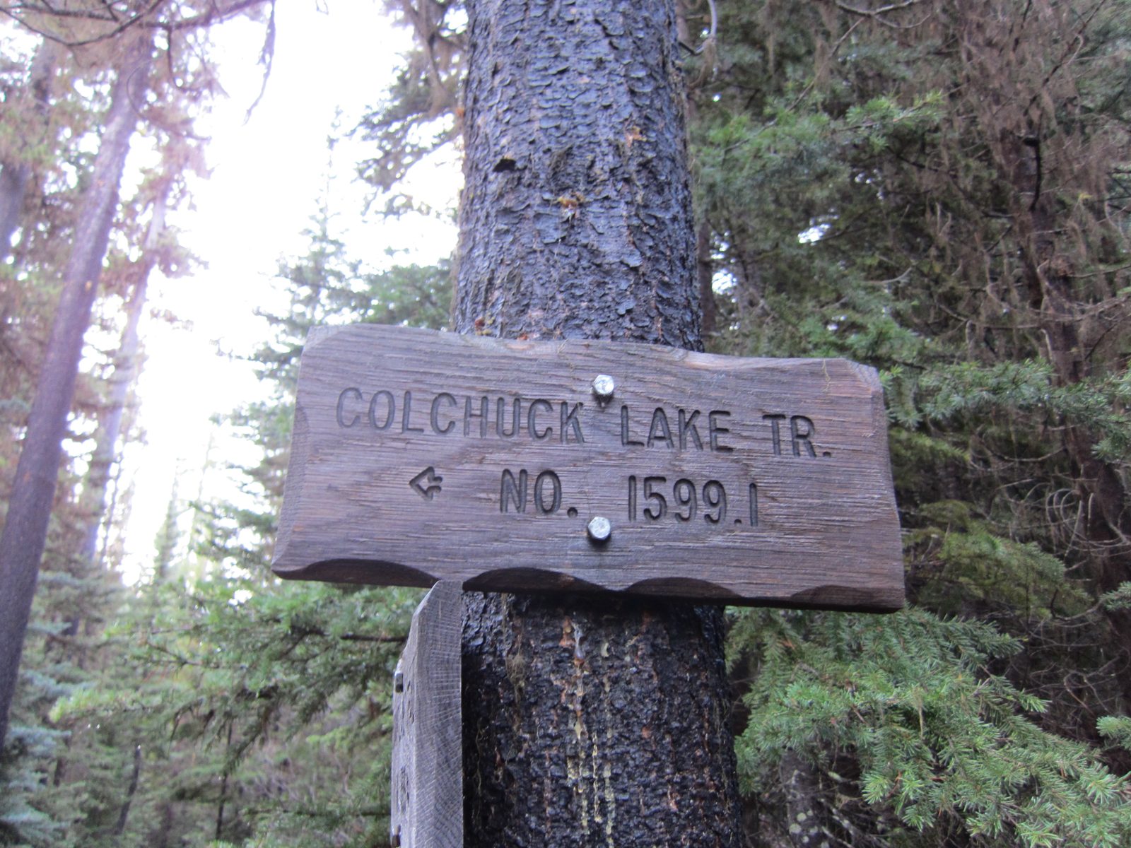 The Stuart Lake trail is No. 1599.  Apparently Colchuck is just an offshoot.