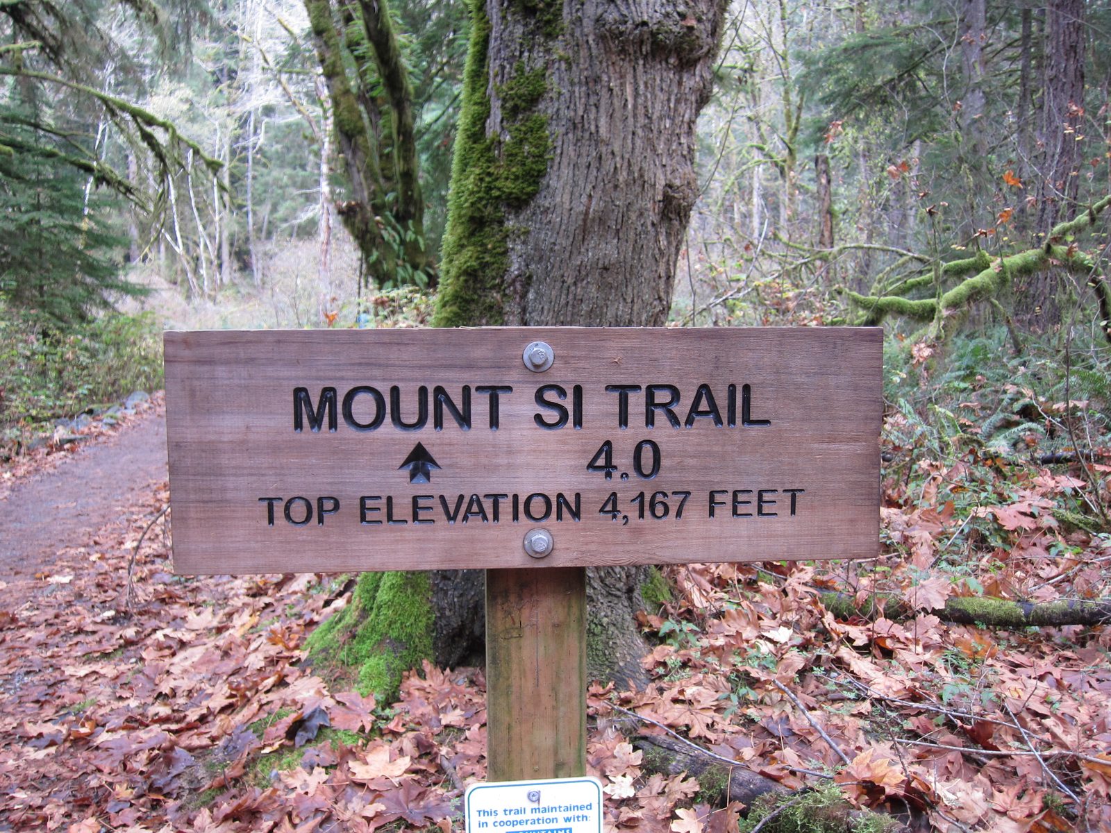 The trail is short but a bit steep - 4.0 mi one way with 3150 ft elevation gain.